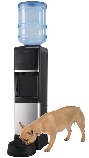 HotFrost V1950N
